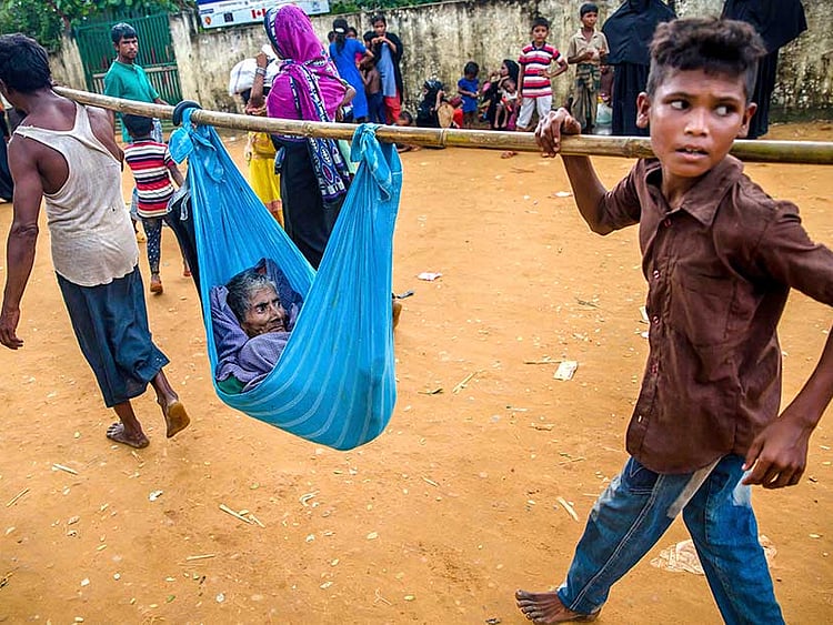 1.2092501-3295452024