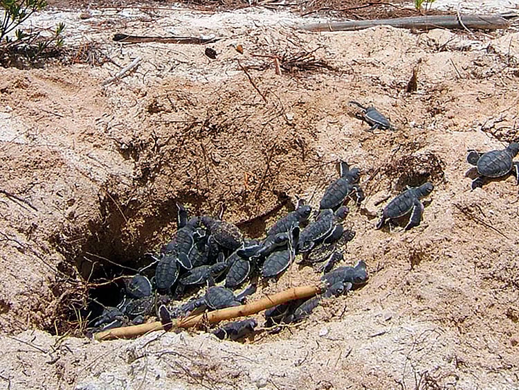 1.2093230-4166858456