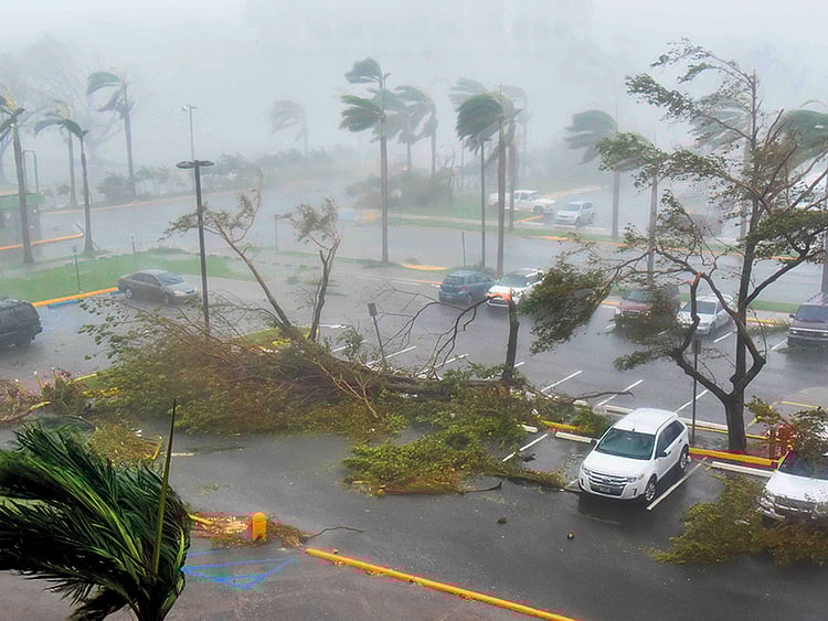 1.2093344-4088385260