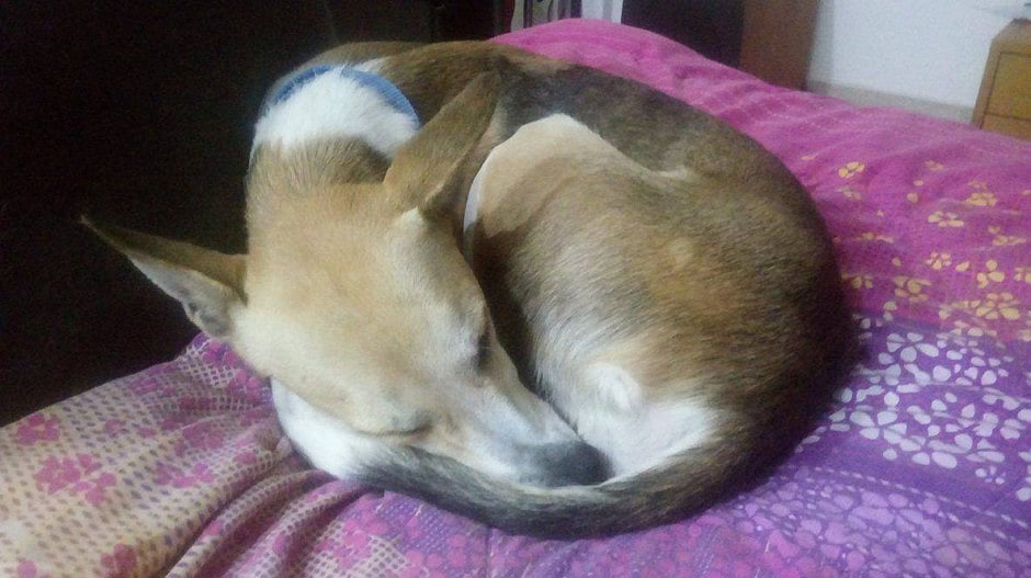 1.2094080-2933045090