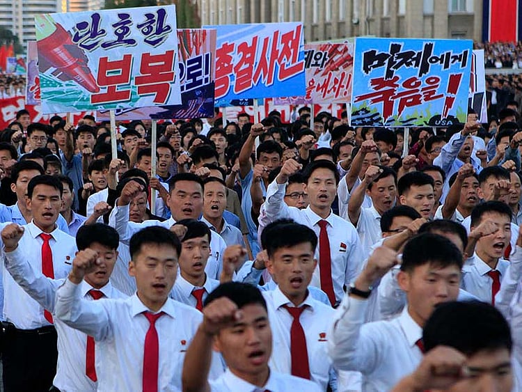 1.2094731-2800457346