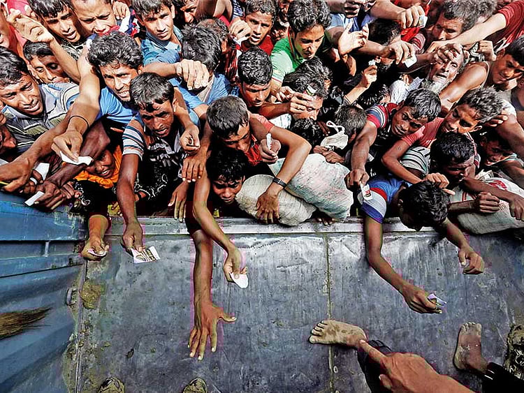 1.2095578-2471966236