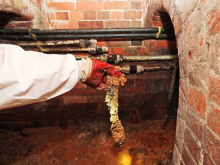 1.2095732-1717114273