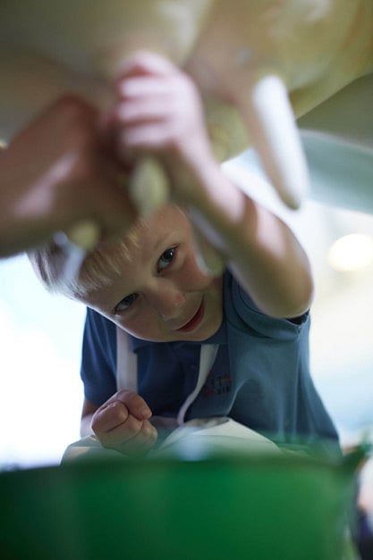 Dubai children play dairy farmer for a day