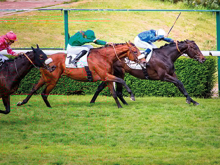 1.2097166-3738355834