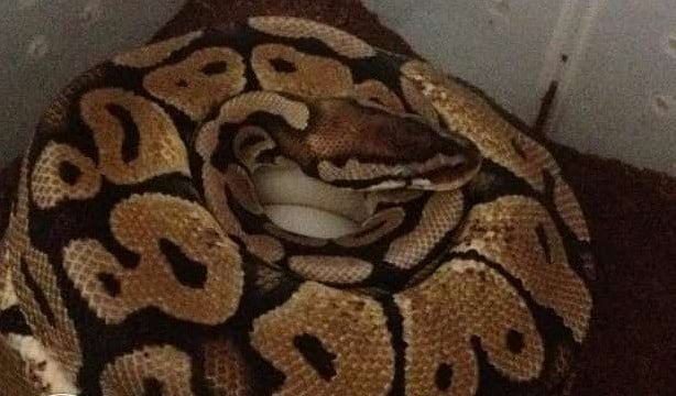 1.2097524-1284311120