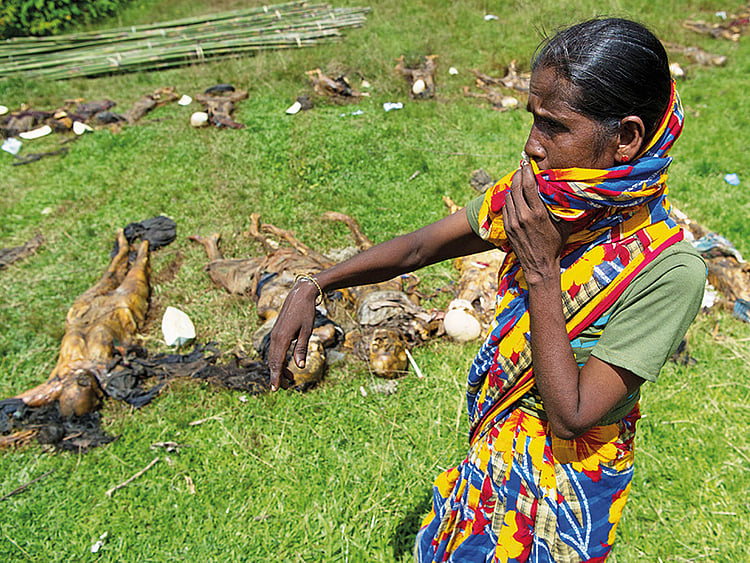 1.2097451-2124817729