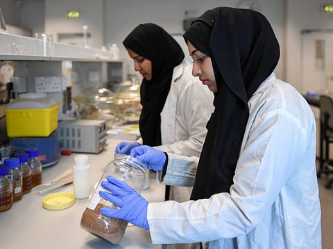 UAE University students making paper from sand