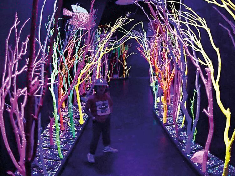 1.2072874-2371936012