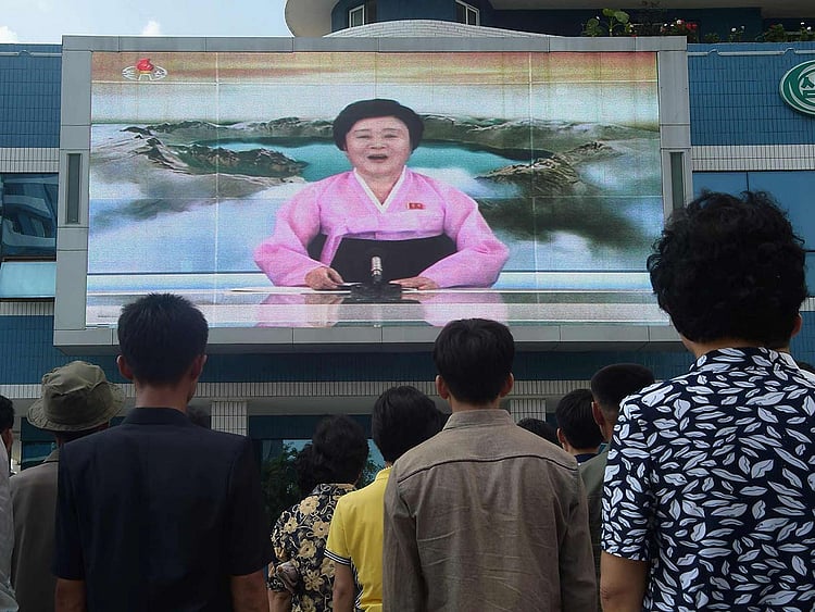 1.2084600-4201763660