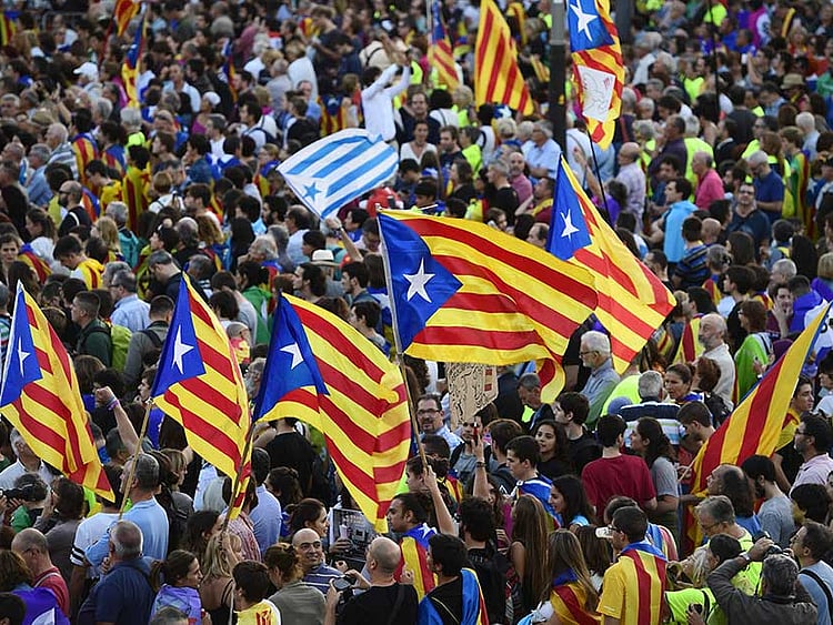 1.2098320-2505698769