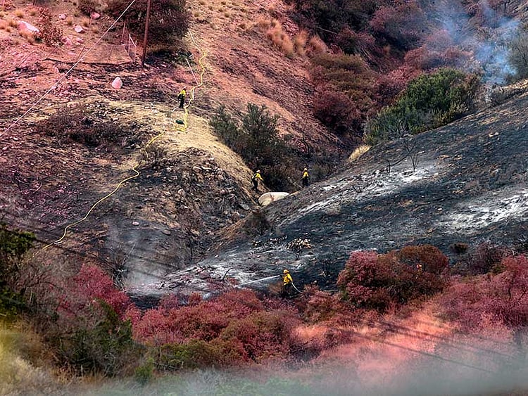 1.2084744-2599113384