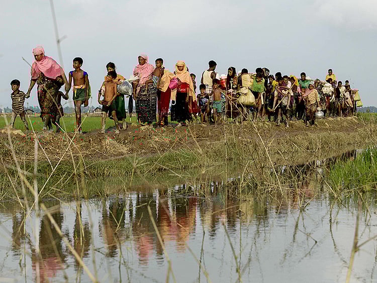 1.2088670-3090354529