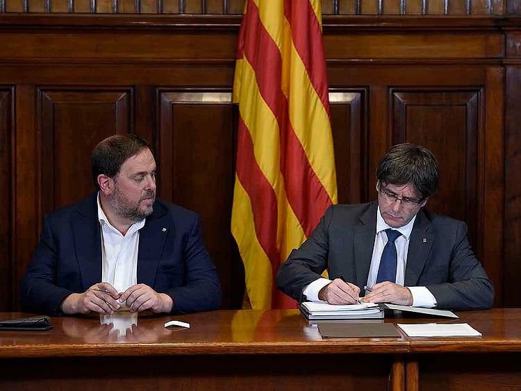 1.2086263-4110327038