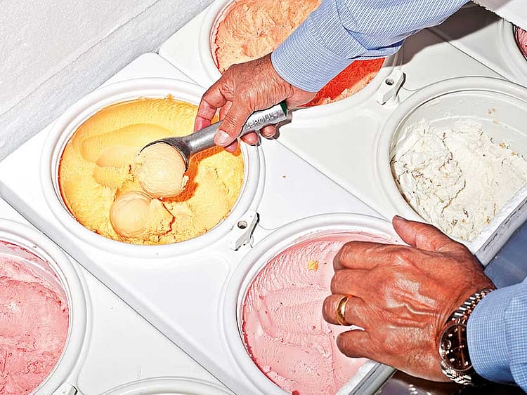 1.2087058-1240705003