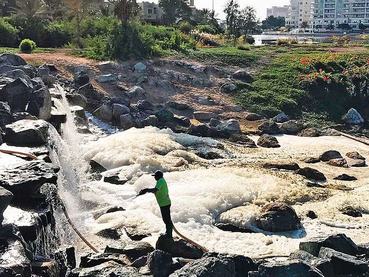 1.2154891-2471966236