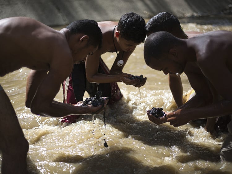 1.2155398-2894533472