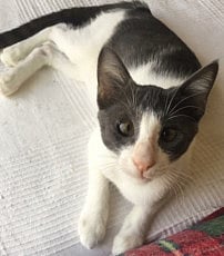 1.2155844-2459801290