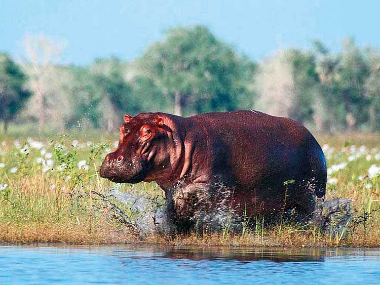 1.2156099-1547797947