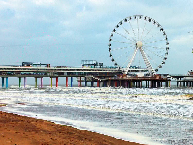 1.2156282-3351393991