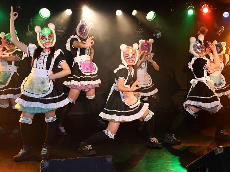 1.2157030-3954220740