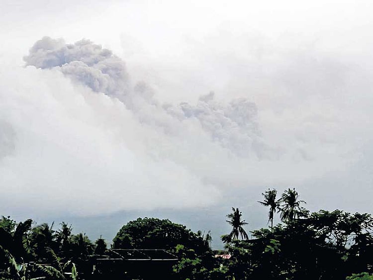 1.2157203-3198994456