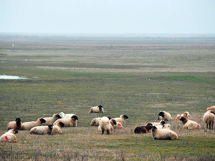 1.2158142-3478853037