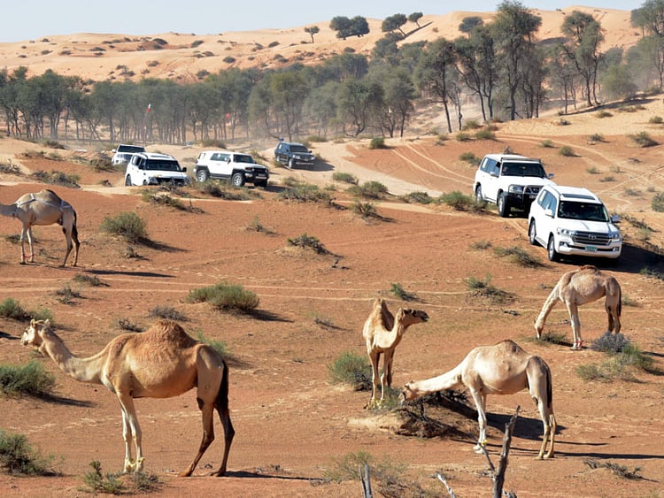 1.2158032-4098275877