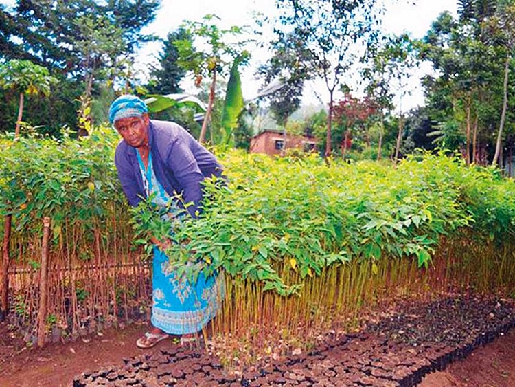 1.2159234-4155669766