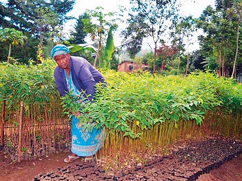 Thomson Reuters Foundation