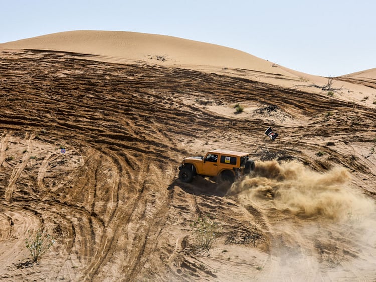 1.2159958-4175094184