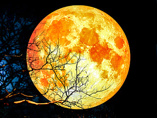 Blood Moon Total Lunar Eclipse 2021: How to see the Blood Moon, Lunar Eclipse and Flower Supermoon in UAE 