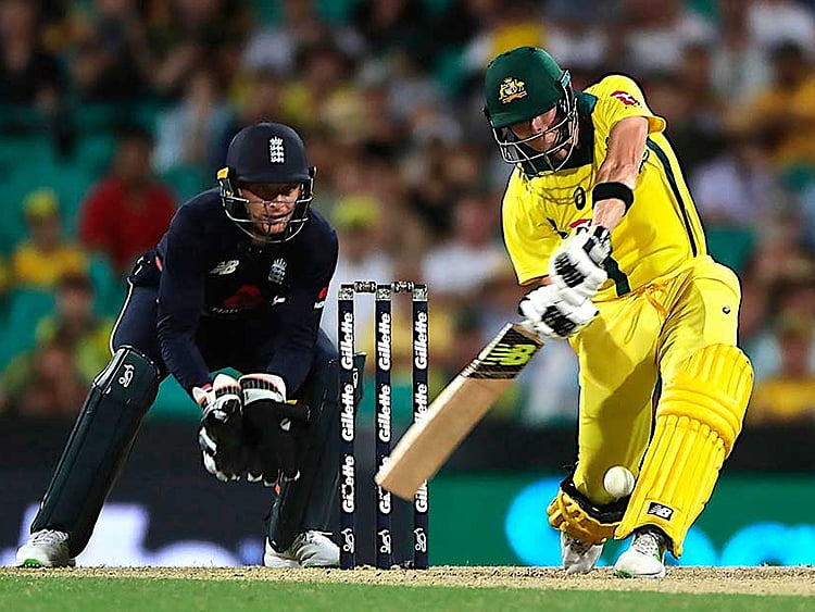 1.2161033-3895334717