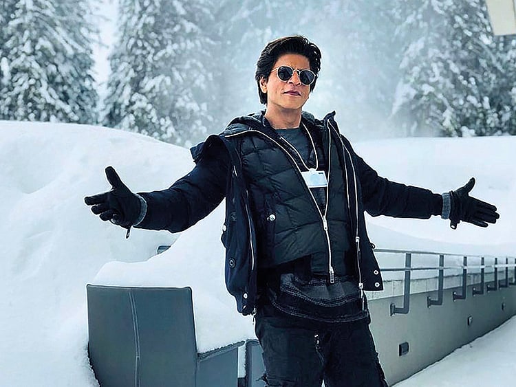 1.2161362-4205899293