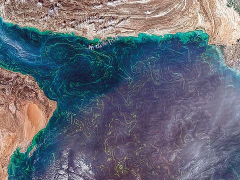 Ministry of Climate Change and Environment