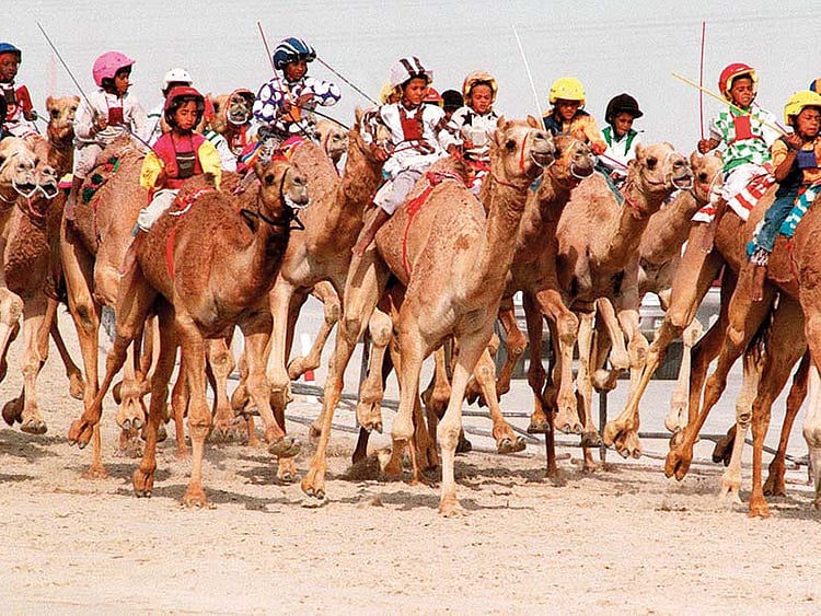 1.2163024-4040701382