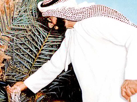 WAM/Gulf News Archives