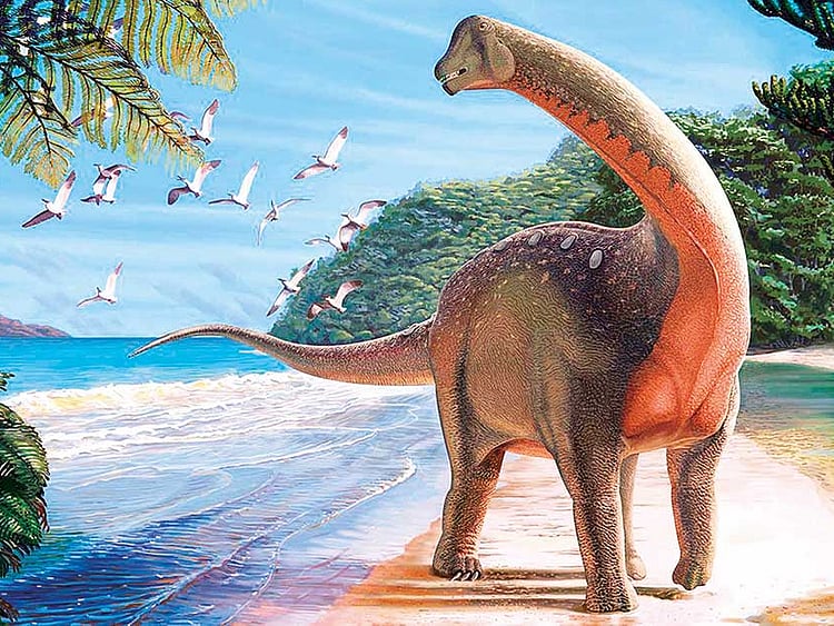 1.2165099-1760897797