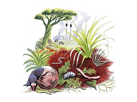 Eleanor Taylor/New York Times