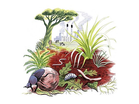 Eleanor Taylor/New York Times