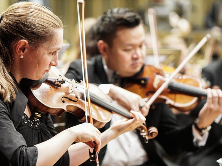 1.2165979-4111531087