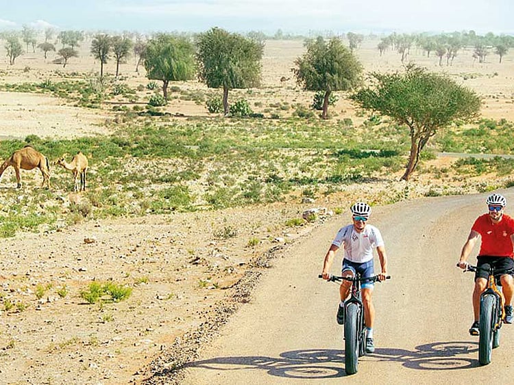 1.2151695-1123609046