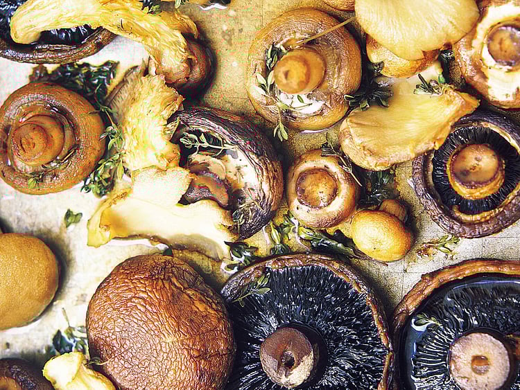 1.2198526-2301630071