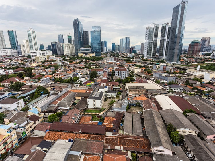 1.2152308-3093342313