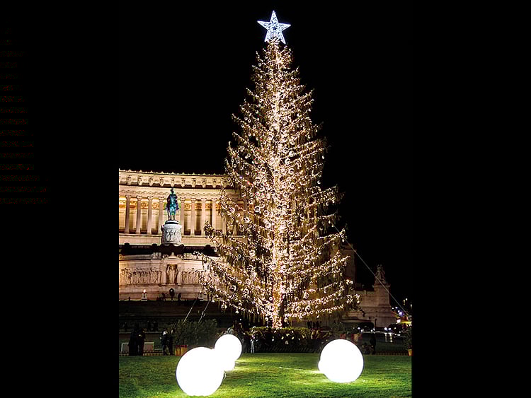 1.2152602-2814981910