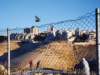 Palestinians in despair as Trump legalises colonies 