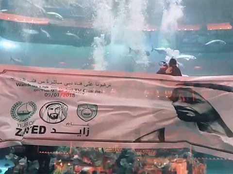 Screengrab