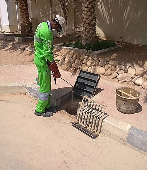 2.1m mosquito breeding sites eliminated in Abu Dhabi