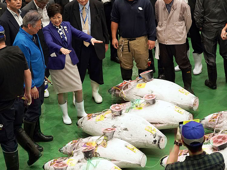 1.2288702-1870271243