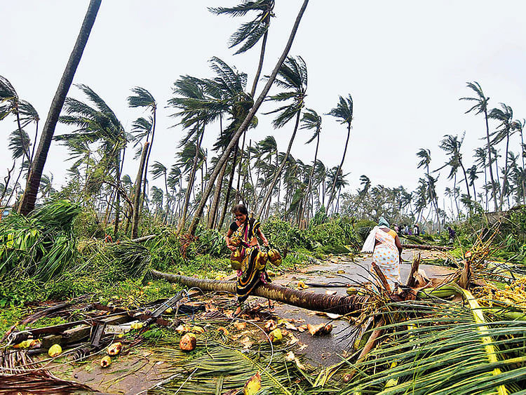 1.2288807-1604724781